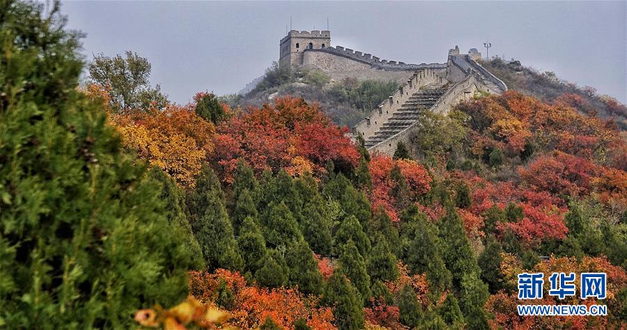 紅葉に彩られた美しい景色広がる八達(dá)嶺長城　