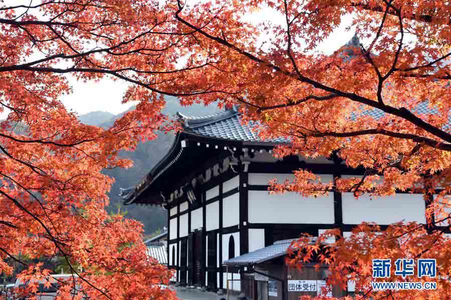 紅葉に彩られた京都の嵐山