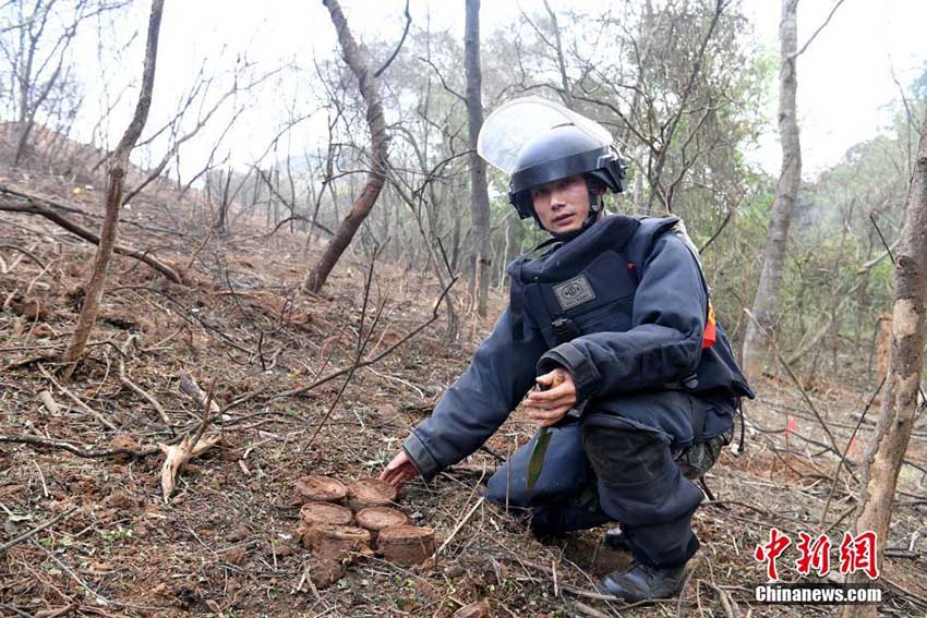 中國?ベトナムの國境付近で地雷除去作業が開始 広西壯族自治區