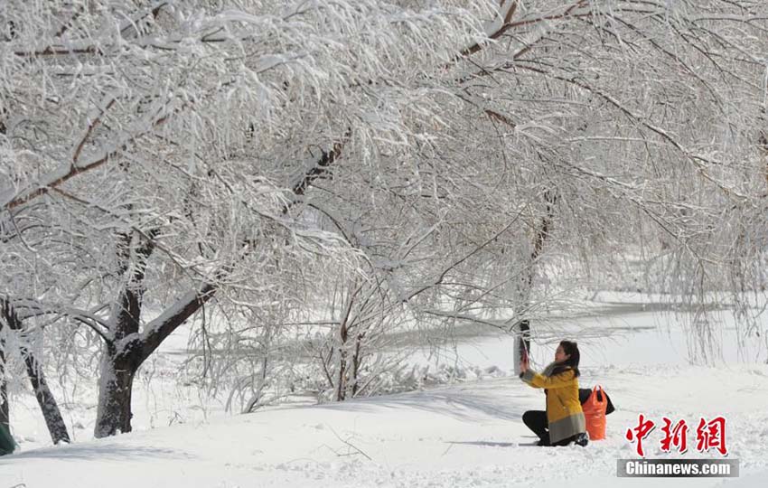 白い雪と青空が織りなす美しい景色　美しい雪景色を堪能する瀋陽市民