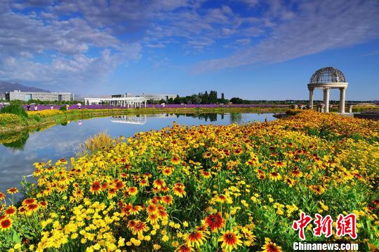 美しい夕日に映える色とりどりの花々　甘粛省金昌