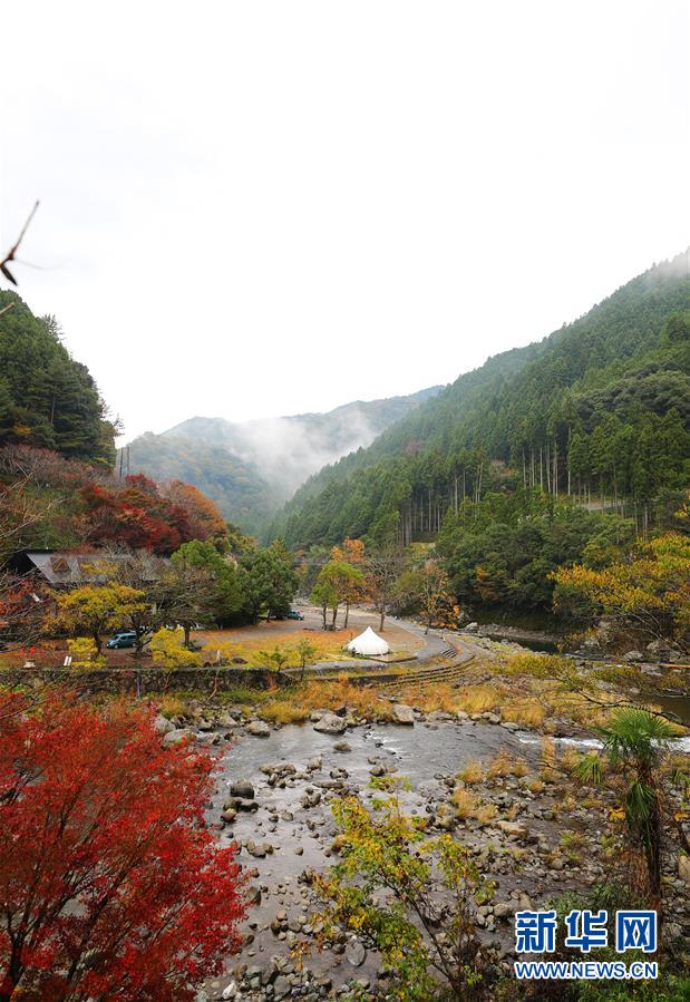 高齢化進む町に活気を取り戻す「葉っぱビジネス」