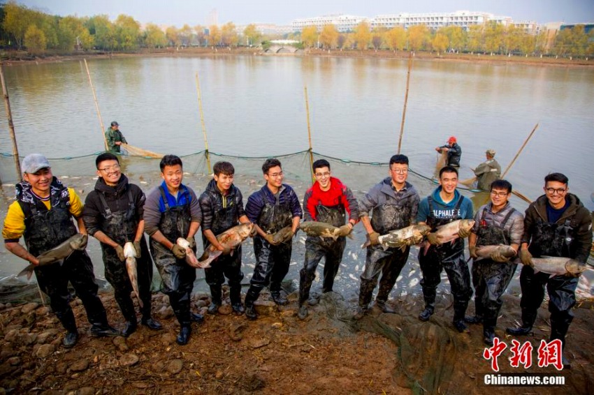 魚を捕まえ、作って、食べよう！武漢の大學で「沁湖魚宴」イベント