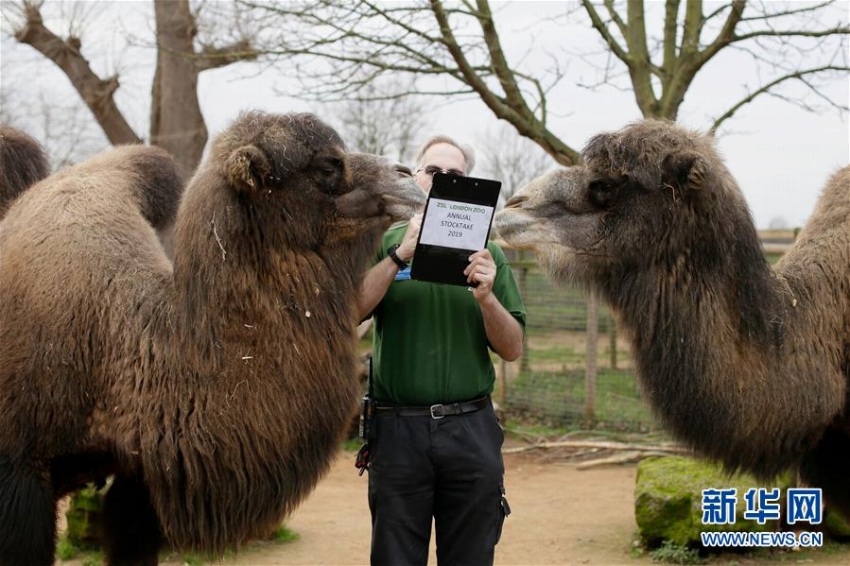 ロンドン動物園で年に1度の動物の數を數える検査