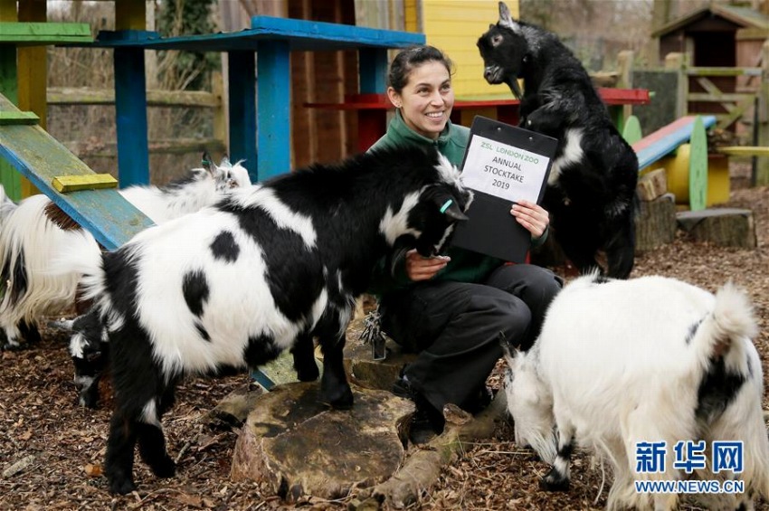 ロンドン動物園で年に1度の動物の數を數える検査