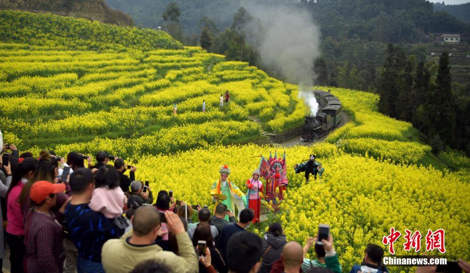 菜の花畑を走り抜ける嘉陽SLをカメラに収める観光客たち（3月12日撮影?劉忠?。?。