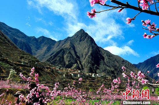 桃の花が彩り添える集落（撮影?高雪飛）。