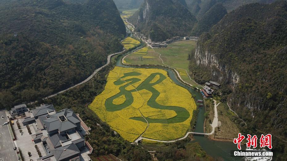 3月19日、「龍」の文字が浮かび上がる菜の花畑（撮影?瞿宏倫）。