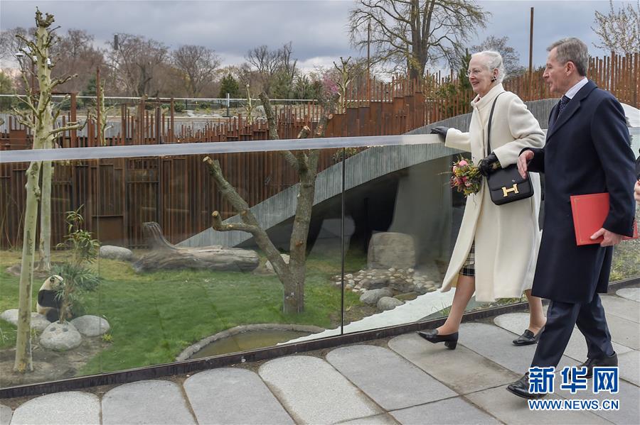 デンマークのコペンハーゲン動物園のパンダ館を見學するデンマークの女王マルグレーテ2世(撮影?郭晨)。