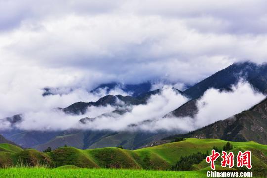 7月上旬、美しい風景が広がる甘粛省張掖市粛南ユグル族自治県の草原（撮影?武雪峰）。