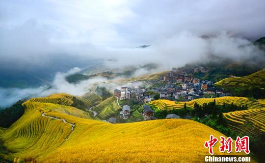 棚田と雲(yún)霧が織りなす美しい風(fēng)景（撮影?潘志祥）。 