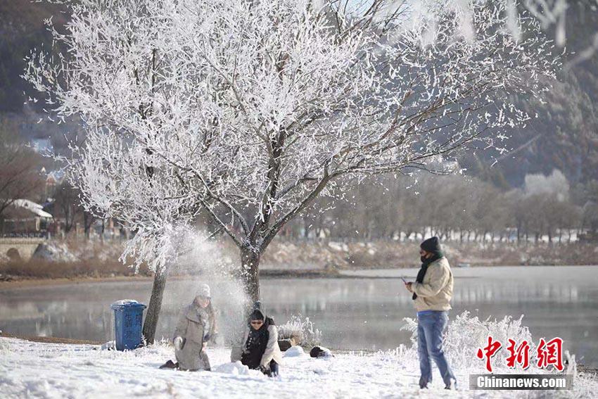 11月20日、「霧氷の都」と呼ばれている吉林市松花江畔で、今冬初の霧氷が観測され、大勢の市民や観光客が足を運び、記念寫真を撮影する様子（撮影?石洪宇）。