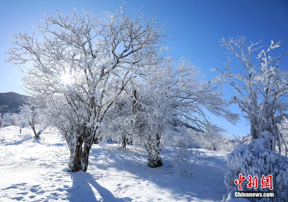 四川省茂県九鼎山に広がった美しい雪景色（撮影?何清海）。 