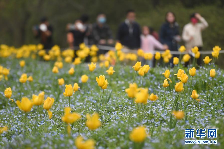 3月22日、杭州西渓國家濕地公園を訪れた観光客（撮影?黃宗治）。