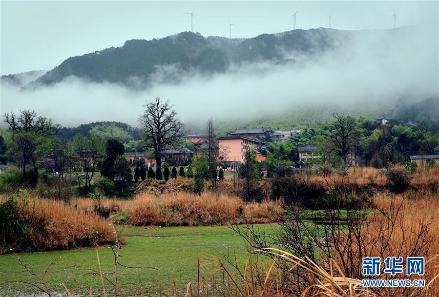 3月29日、霧雲に覆われた黃柏山國家森林公園（撮影?李安）。