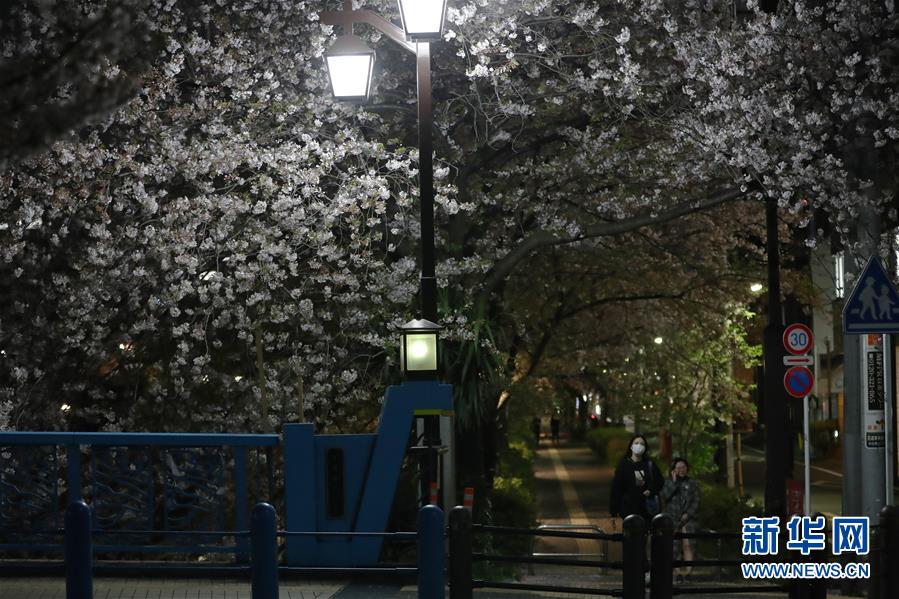 4月6日、東京でサクラの木の下をマスクをして歩く女性ら（撮影?杜瀟逸）。