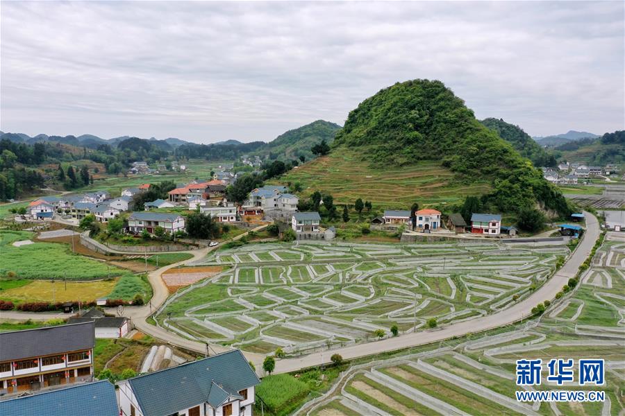 4月13日、貴州省遵義市播州區楓香鎮郊外の郷村（ドローンによる撮影?劉続）。