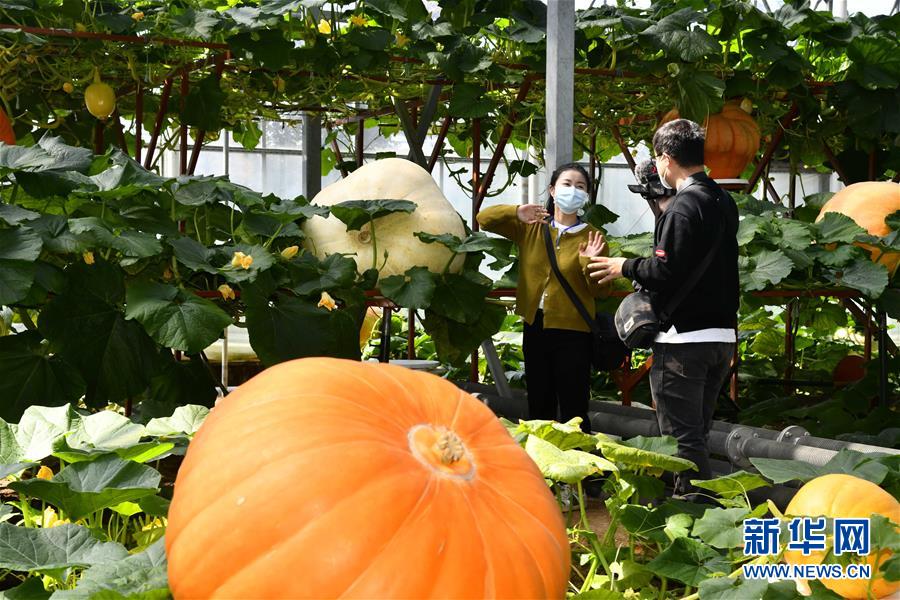 4月20日、壽光國際野菜科學技術博覧會展示館でライブ配信を行うパーソナリティ（撮影?郭緒雷）。