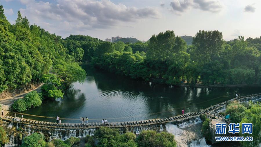 5月19日、貴陽市花渓國家都市濕地公園の黃金大道（ドローンによる撮影?歐東衢）。