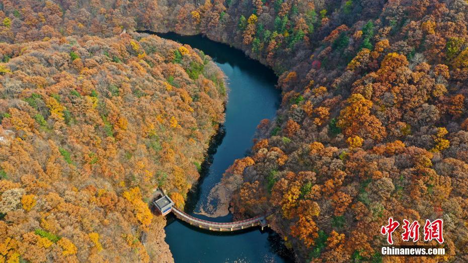 10月26日、河南省洛陽(yáng)市白雲(yún)山景勝地の秋景色（撮影?牛書培）。