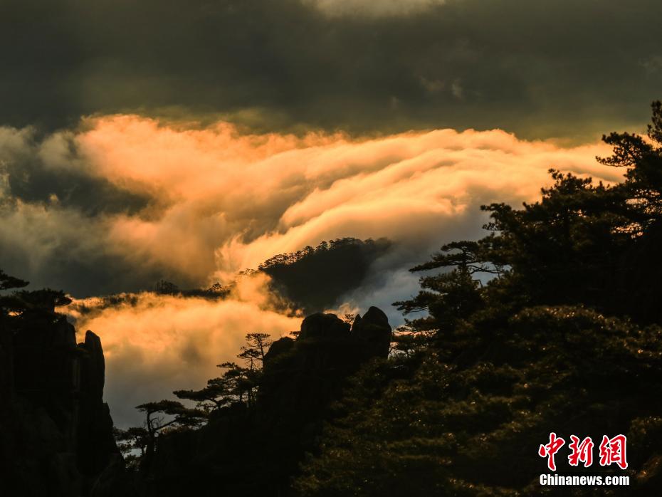 1月24日、安徽省黃山景勝地に現れた巨大な雲海の景観（撮影?李金剛）。