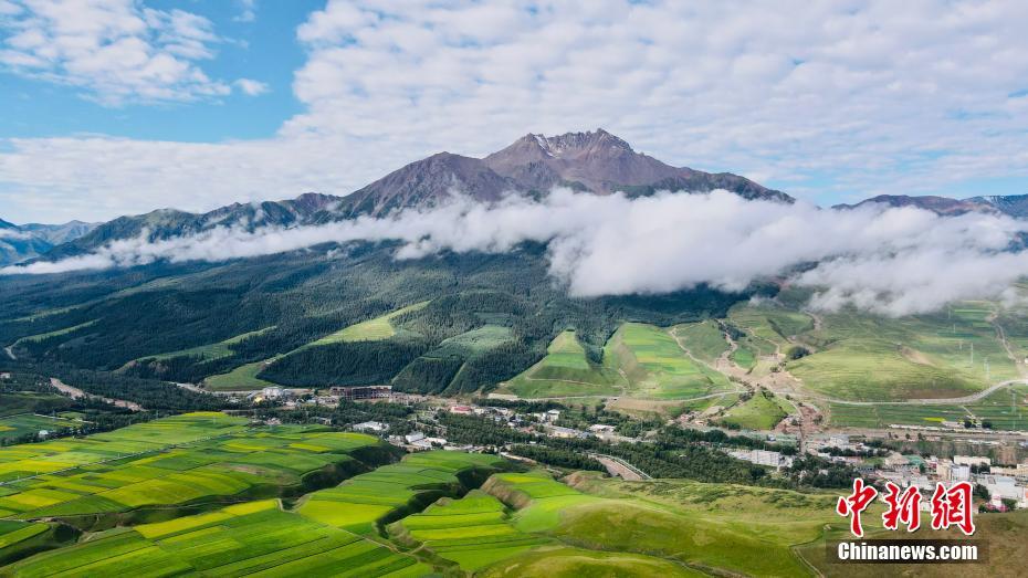 上空から撮影した美しい祁連山の夏の風景（ドローンによる撮影?李江寧）。