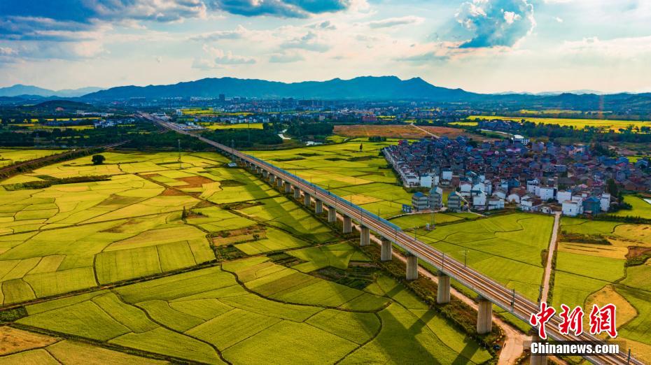 上空から撮影した、江西省吉安市峽江県にある郷村の田園風景（撮影?李小明）。