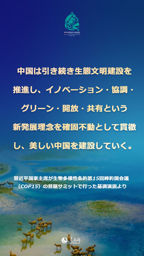 習(xí)近平國家主席「CO2排出量ピークアウト、カーボンニュートラル『1+N』政策システムを構(gòu)築」