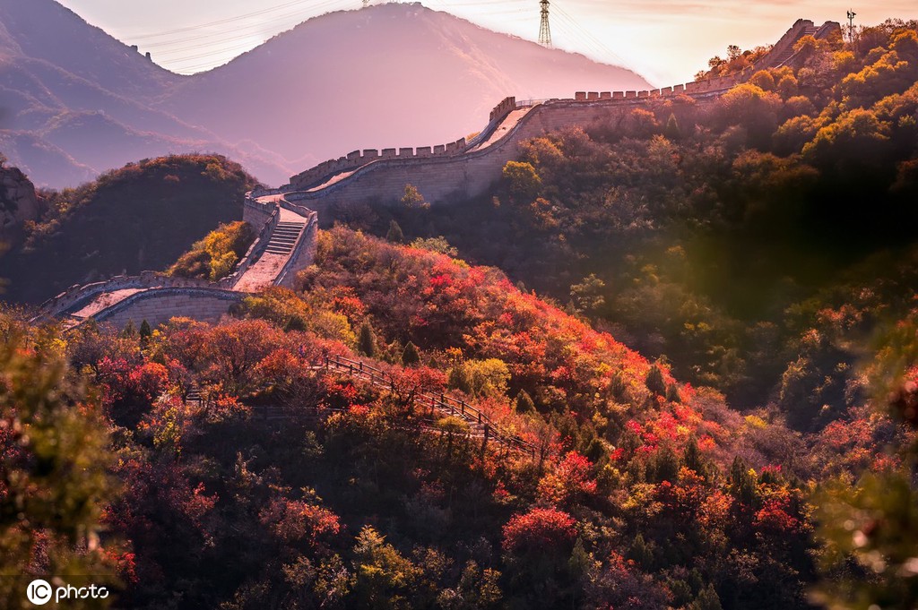 美しい八達嶺長城の紅葉（10月26日撮影、寫真著作権は東方ICが所有のため転載禁止）。