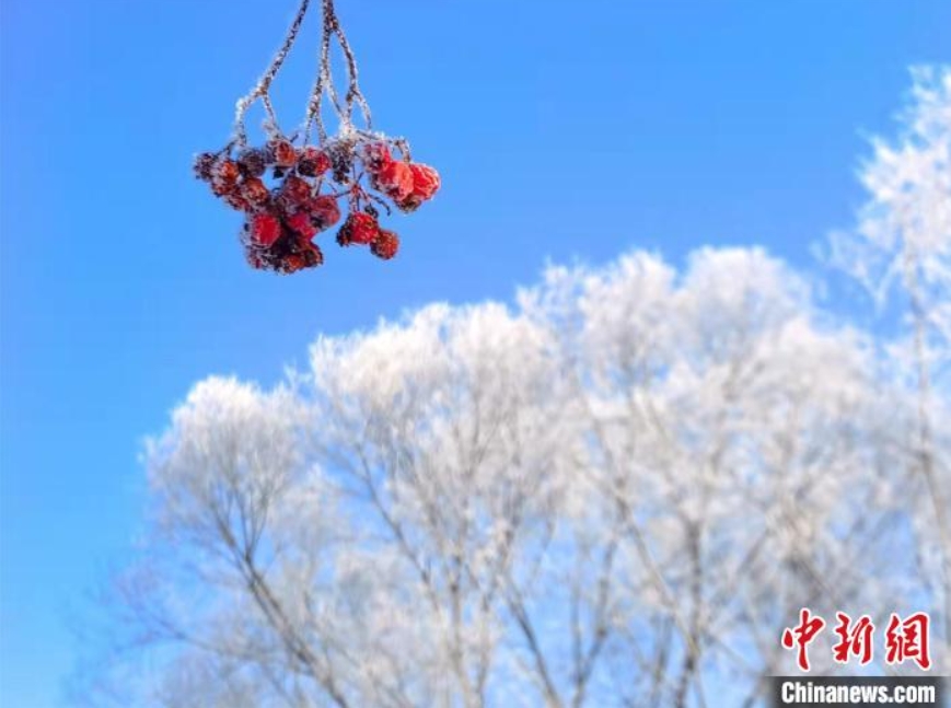 霧氷の美しい風景が現われた中ロ國境の河畔（撮影?肖玉華）。