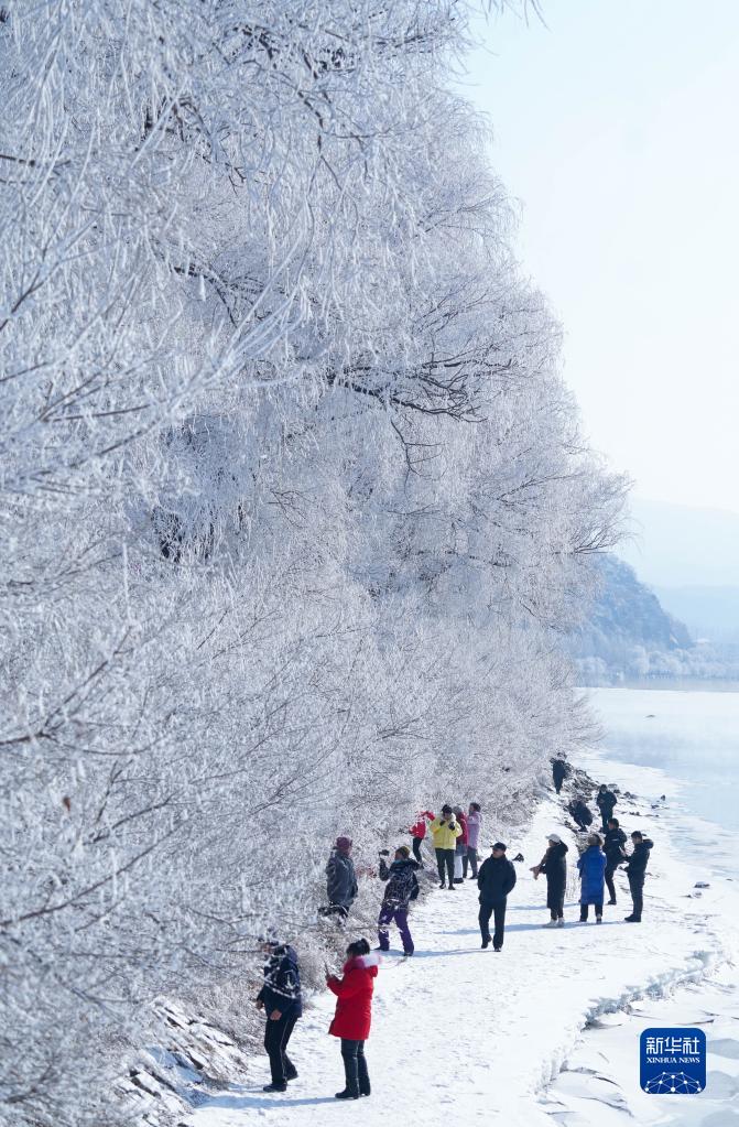 吉林省吉林市松花江河畔で、美しい霧氷の風景を鑑賞する市民（2月22日撮影?顔麒麟）。