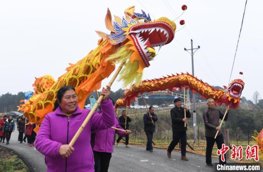 菜の花畑で竜の舞を踴り幸福を祈る村民（撮影?陳超）。