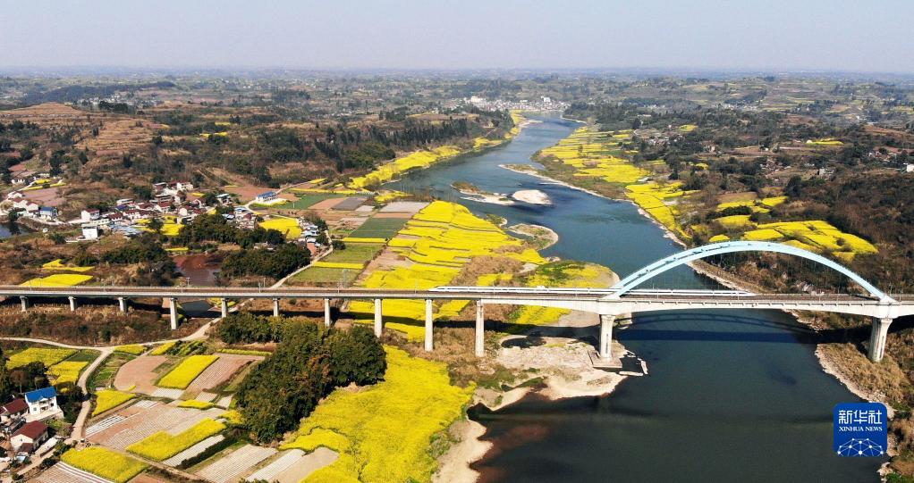 3月7日、四川省成都と重慶を結ぶ成渝高速鉄道の四川省內江區(qū)間を走る高速鉄道列車（ドローンで撮影?黃正華）。