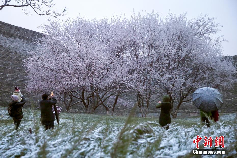 北京で降雪　気溫が大幅に低下