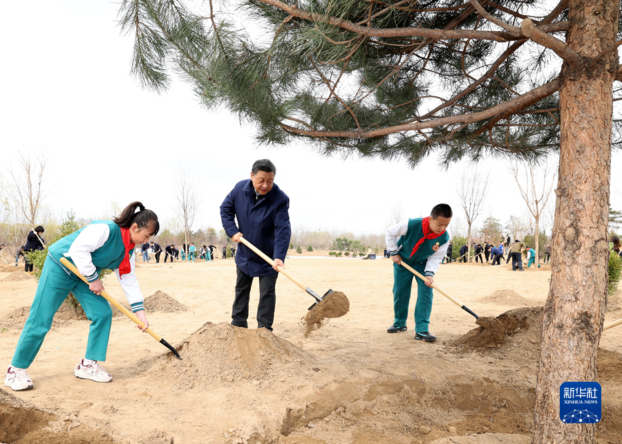 習(xí)近平総書記が北京の植樹活動(dòng)に參加