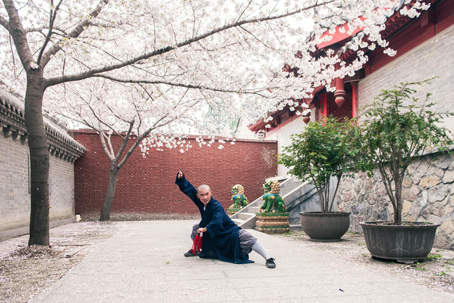 桜の木の下で武術(shù)の鍛錬に勵(lì)む修行僧（寫真著作権はCFP視覚中國(guó)が所有のため転載禁止）。