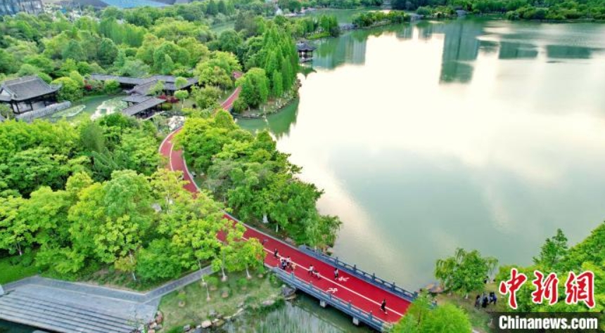 木々が生い茂った自然豊かな濕地公園（ドローンによる撮影?朱海鵬）。