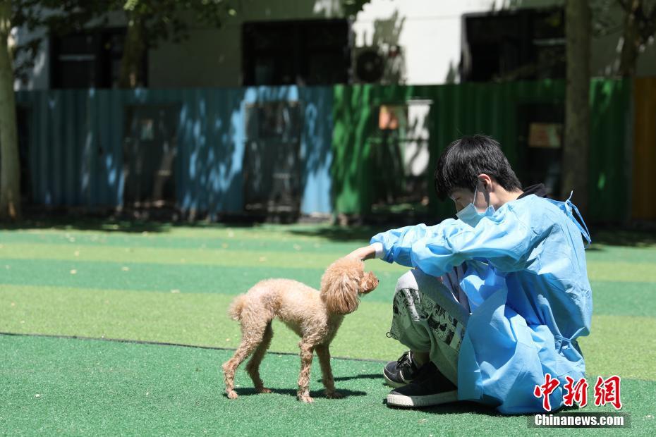 屋外で飼い犬の遊び相手をするスタッフ（5月26日撮影?蔣敬明）。