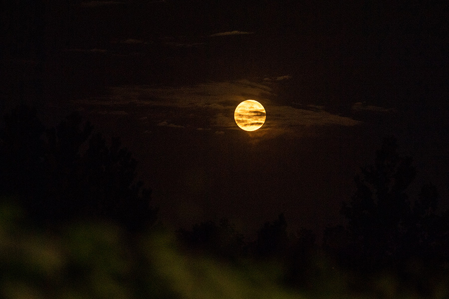 7月13日夜、薄雲(yún)に覆われたスーパームーン（撮影?翁奇羽）。