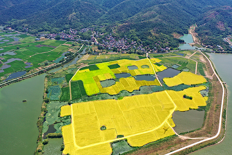 カラフルな田園地帯（撮影?魯君元）。