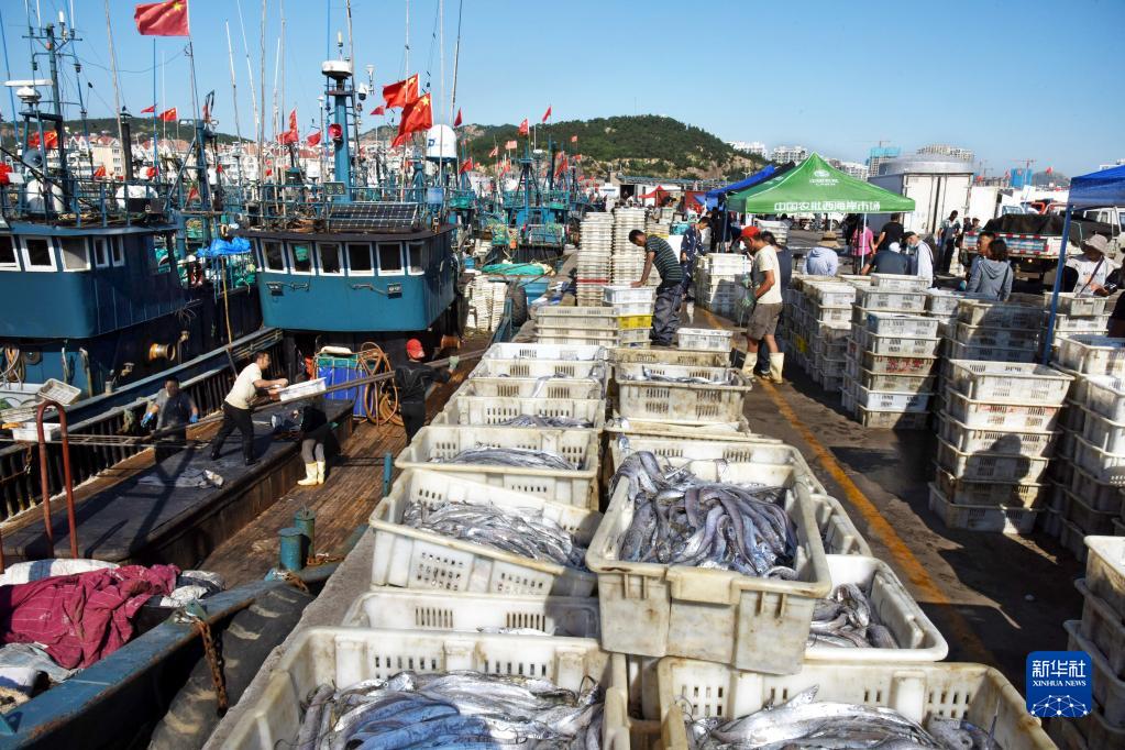 大漁だ！秋の漁解禁で魚(yú)を満載した船が続々帰港　山東省青島