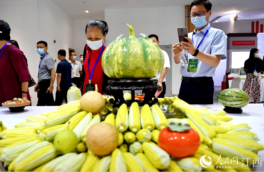 人々の注目を集めた陶器製のリアルな野菜や果物（撮影?時(shí)雨）。