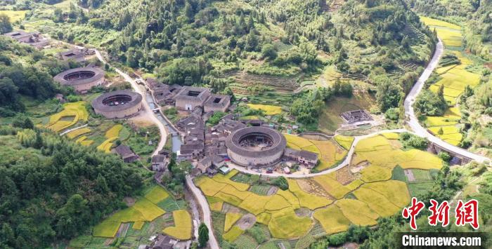 実りの秋を迎えた稲田と土樓　福建省南靖