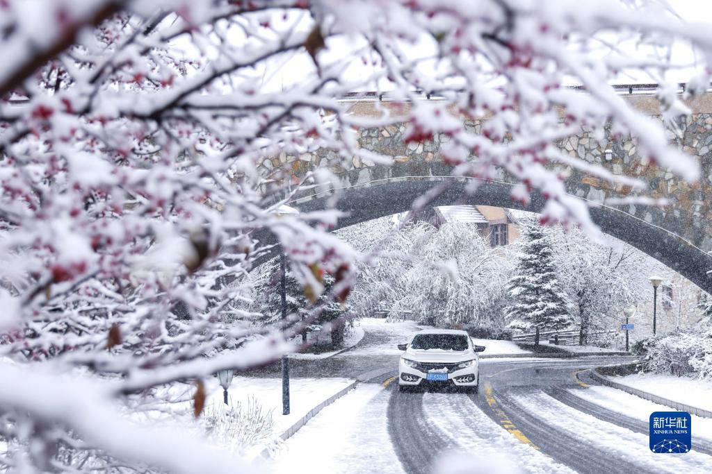 吉林省各地で気溫低下、降雪を観測