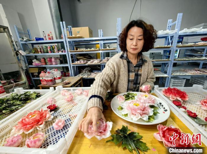 色鮮やかに咲く磁器の牡丹　「中國牡丹の都」山東省菏沢