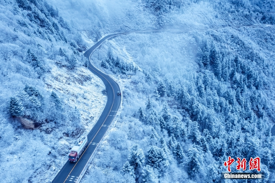 雪化粧が施された四川省臥竜自然保護區（撮影?劉國興）。