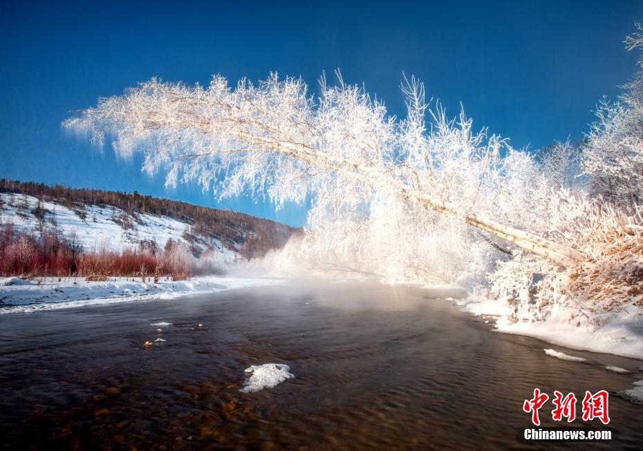 川に覆いかぶさるように伸びた樹木にびっしりと咲いた「氷の花」（撮影?田雲(yún)祥）。