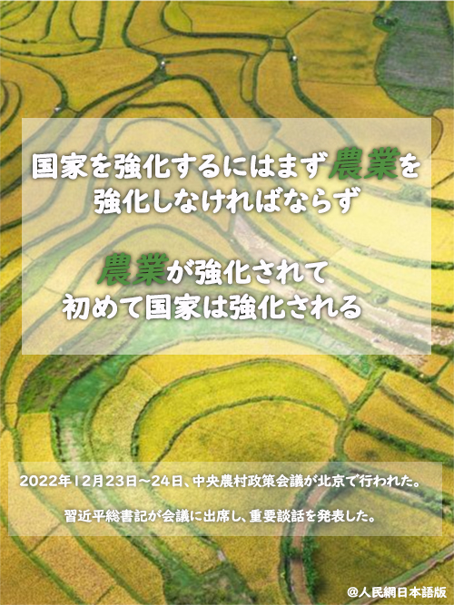 農(nóng)村振興を全面的に推進、農(nóng)業(yè)強國の建設(shè)を加速