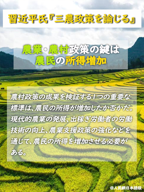 【習近平氏『三農政策を論じる』】農業?農村政策の鍵は農民の所得増加