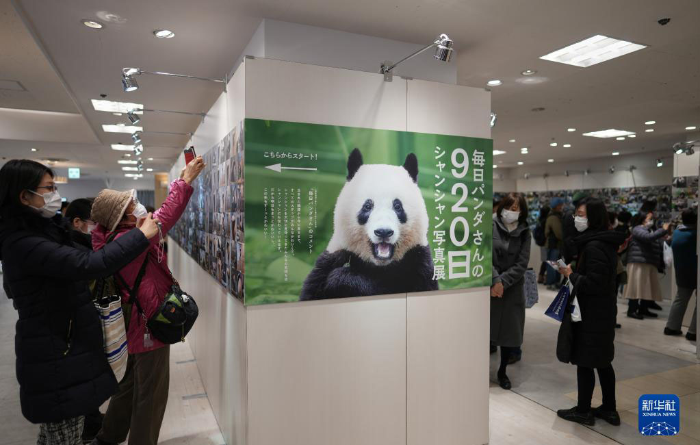 東京上野の百貨店でシャンシャンの寫真展が開幕　日本　東京の百貨店?松坂屋上野店で、「920日香香（シャンシャン）寫真展」が開幕し、パンダ寫真家である高氏貴博さんが撮影したシャンシャンの寫真が展示された。